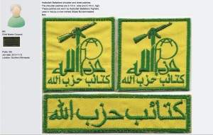 Hezbollah_Battalions.2